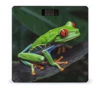 Red Eyed Tree Frog Bathroom Scale Automatic Power On/Off Body Scales LCD Backlight Display Square Digital Scale Rounded Corners Bathroom Scales for Home Bedrooms