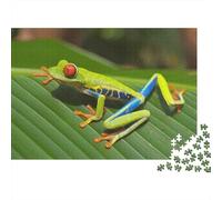 Red-Eyed Tree Frog on Leaf 1000-Piece Puzzle for Adults, 38x26cm/1000pcs; Low-dust White Cardboard Pieces; Quiet Time Away from Phones And Screens