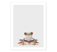 Red-eyed Tree Frog Poster by Animal Kids Collection 13 x 18 cm Grey Wall art Wall decor