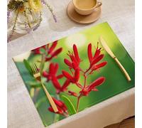 Red Floral Print Placemats 12x18 Inches Table Mats Set of 6 Cotton Linen Placemats Plants Flowers Spring Summer Wedding Table Mats for Party Kitchen Dining Decoration