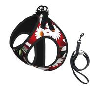 Red Flower and White Daisy Print Small Dog Harness with Leash Set, No Escape Easy Walk Puppy Harnesses for Training Walking