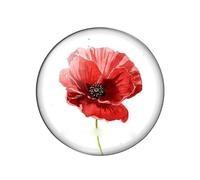 Red Flowers Art Paintings 10piece mixed 12mm/18mm/20mm/25mm Round photo glass cabochon flat back Making findings-J-40mm