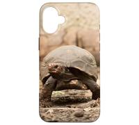Red-Footed Tortoise Case for iPhone 16 Plus