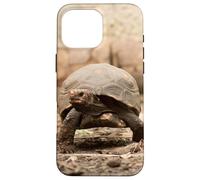 Red-Footed Tortoise Case for iPhone 16 Pro Max