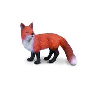 Red Fox