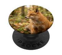 Red Fox Close Up Portrait Wildlife Forest Scene PopSockets Adhesive PopGrip