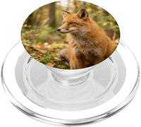 Red Fox Close Up Portrait Wildlife Forest Scene PopSockets PopGrip for MagSafe
