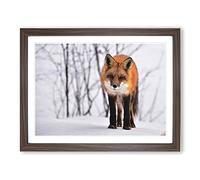 Red Fox in Winter Forest No.1 Modern Framed Print | A2 Walnut Framed Wall Art | Ready to Hang | Modern Animal Picture | Living Room Bedroom Lounge Office