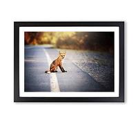 Red Fox on The Road Framed Print | A2 Black Framed Wall Art | Ready to Hang | Modern Animal Picture | Living Room Bedroom Lounge Office