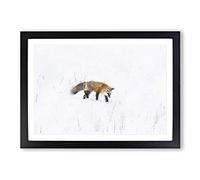 Red Fox Prowling in Wyoming Painting Framed Print | A2 Black Framed Wall Art | Ready to Hang | Modern Animal Picture | Living Room Bedroom Lounge Office