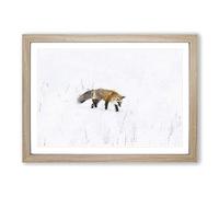 Red Fox Prowling in Wyoming Painting Framed Print | A2 Oak Framed Wall Art | Ready to Hang | Modern Animal Picture | Living Room Bedroom Lounge Office