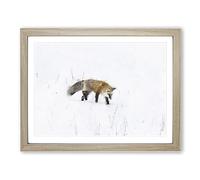 Red Fox Prowling In Wyoming Painting Modern Art Framed Print | A4 Oak Framed Wall Art | Ready to Hang | Modern Animal Picture | Living Room Bedroom Lounge Office