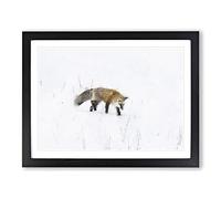 Red Fox Prowling In Wyoming Painting Modern Art Framed Wall Art Print, Ready to Hang Picture for Living Room Bedroom Home Office Décor, Black A4 (34 x 25 cm)