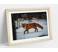 Red Fox Snowy Lands, Wildlife Photograpy Framed Wall Art Print Picture - A2 - Light Oak Frame