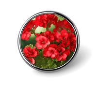 Red Geraniums Button Pin,Design Your Own Personalized Pin Back Button Badges Exquisite Round Badge Travel Brooch Metal Decorative Pins for Hat Clothes Backpack