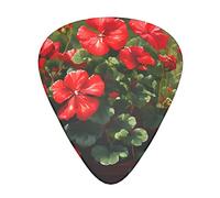 Red Geraniums Guitar Plectrums Classical Triangle Bass Acoustic And Electric Guitar Plectrums For Guitarists 12 Pieces