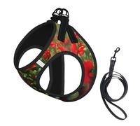 Red Geraniums Print Soft Pet Harness and Leash Set, Adjustable Mesh Puppy Vest Harness for Small Medium Large Dogs and Cats