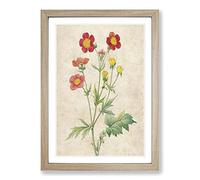 Red Geum Flowers by Pierre-Joseph Redoute Framed Print | A2 Oak Framed Wall Art | Ready to Hang | Modern Floral Picture | Living Room Bedroom Lounge Office