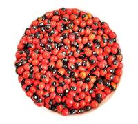 Red Gunja Seeds, Hindu Spiritual Meditation Beads, Traditional Religious Offering Red Gunja Seeds (Lal Chirmi) - Sacred Prayer Beads for Meditation, Spiritual Protection, and Prosperity | Vibrant