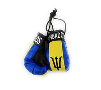 Red Hat Ent Hanging Car Mirror Mini Boxing Gloves (Barbados)