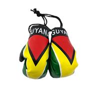 Red Hat Ent Hanging Car Mirror Mini Boxing Gloves (Guyana)