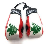 Red Hat Ent Hanging Car Mirror Mini Boxing Gloves (Lebanon)