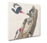 Red headed Woodpeckers Bird by John James Audubon Canvas Print | Gallery Wrapped 30mm Frame Wall Art | 14x14 inches | Ready to Hang | Retro Animals Picture | Living Room Bedroom Lounge Office