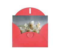 Red Holiday greeting check blank card and pearl beautiful blank note block VVXBHGR Frozen Jasmine Pattern