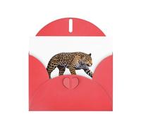 Red Holiday greeting check blank card and pearl beautiful blank note block VVXBHGR Leopard ready to pounce Pattern