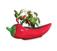 Red Hot Chili Planter - Glazed Ceramic Chili Pepper Plant Pot for Indoor Gardening - Fun & Spicy Gift for Plant Parents and Chili Lovers - Unique Indoor Planter for Herbs, Houseplants & Peppers