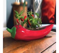 Red Hot Chilli Planter