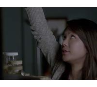 Red In Tooth And Claw