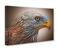 Red Kite Bird Canvas Print | Gallery Wrapped 30mm Frame Wall Art | 24x16 inches | Ready to Hang | Modern Animals Picture | Living Room Bedroom Lounge Office