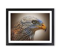 Red Kite Bird Modern Framed Print | A4 Black Framed Wall Art | Ready to Hang | Modern Nature Picture | Living Room Bedroom Lounge Office