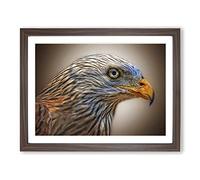 Red Kite Bird Modern Framed Print | A4 Walnut Framed Wall Art | Ready to Hang | Modern Nature Picture | Living Room Bedroom Lounge Office
