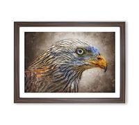 Red Kite Bird Painting Framed Print | A2 Walnut Framed Wall Art | Ready to Hang | Modern Historical Picture | Living Room Bedroom Lounge Office