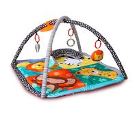 Red Kite Wild Safari Play Gym