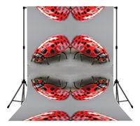 Red Ladybug Anti-Wrinkle Photography Background Backdrop For Portrait, Party Decoration, Video Recording & Events - 5x7ft