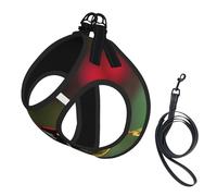 red Ladybug Dasisy Print Soft Mesh Dog Harness and Leash Set Pet Puppy Cat Comfort Padded Vest No Pull Harnesses