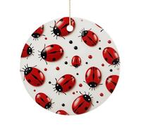 Red Ladybug Double-Sided Ceramic Christmas Ornaments - Round Hanging Mini Xmas Tree Decorations, Ideas for Farmers, Rustic Home Decor for Indoor Outdoor Tree Decor