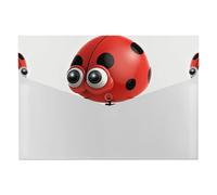 Red Ladybug File Folder 6-Pocket, Waterproof Accordion File Organizer with Snap Closure, Expanding Document Holder for Office, Home