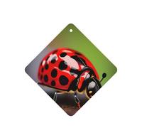 Red Ladybug Pattern Printing 10 Pcs Car Air Freshener Fragrant Sheets,Car Hanging Accessories With Strings For Decor