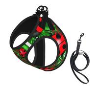 Red Ladybug print Dog Harness and Leash Set, Reflective Adjustable Puppy Vest for Small Medium Large Dogs, Cats