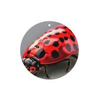 Red Ladybug Printing 10 Pcs Car Air Freshener Fragrant Sheets,Car Hanging Accessories With Strings For Decor