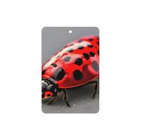 Red Ladybug Printing 10 Pcs Car Air Freshener Fragrant Sheets,Car Hanging Accessories With Strings For Decor