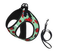 Red Ladybugs On A Blue Background Print Adjustable Harness Leash Set For Cats And Dogs, Soft Breathable Kitten Puppy Mesh Vest With Reflective Design, Escape-Proof Lead For Small Pets Walking Training