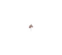 (Red) Leaf Fern Artificial Decor With Durable Material Indoor Photography Scene Home