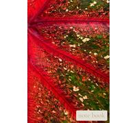 Red Leaf Veins Abstract Notebook: Vibrant Tropical Caladium Pattern Journal for Botanical Lovers and Creative Writing