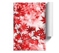 Red Leaves of a Maple Tree | Unframed Wall Art Print | Ready to Frame Poster | Modern Home Decor Picture | Artwork for Living Room, Bedroom, Kitchen or Office | A4 (21x29.7 cm)