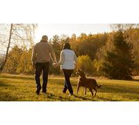 Red Letter Days Tail-Wagging Retreats Experience - Dog-Friendly Getaways Gift Voucher